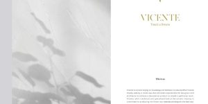 سرامیک ویسنت